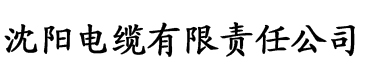 季亭亭梁照洐电缆厂logo